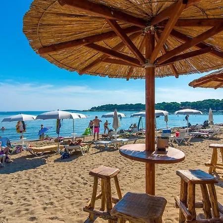 Munida Iv * Medolino